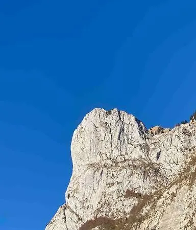 Ada *